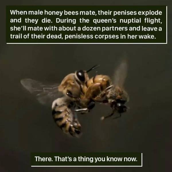 Strange Finds And Situations (39 pics)