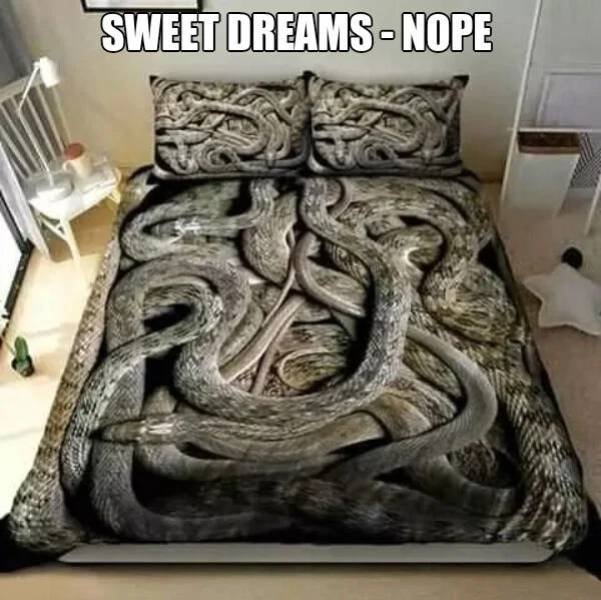 Strange Finds And Situations (39 pics)