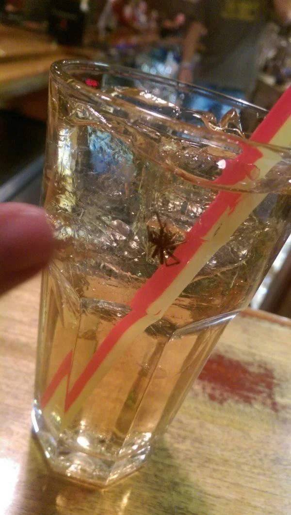 Strange Finds And Situations (39 pics)