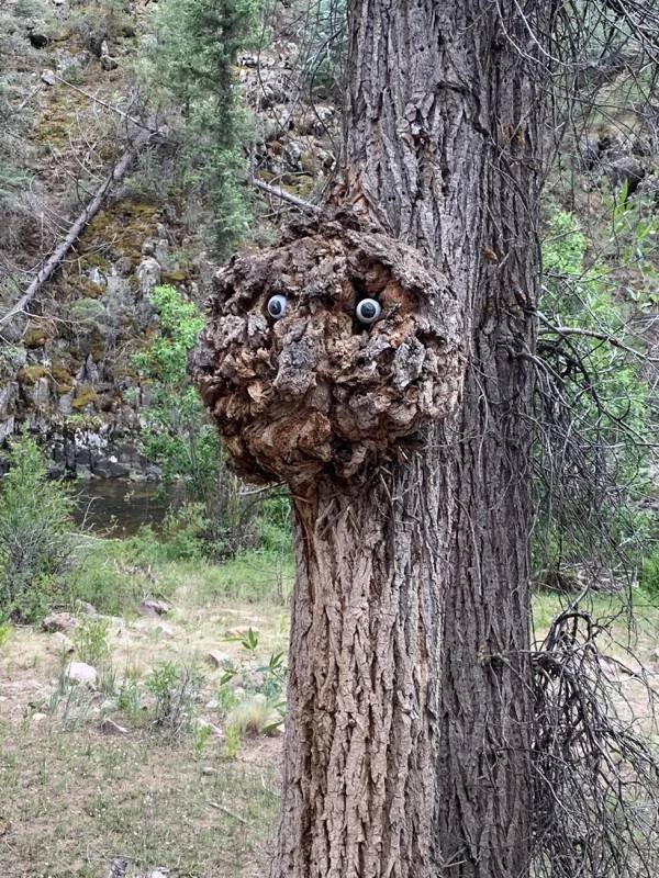Strange Finds And Situations (39 pics)