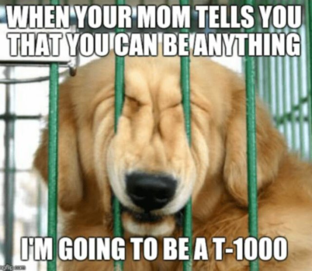 Funny Memes (16 pics)