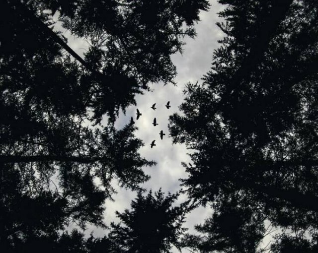 Unexplained Mysteries (22 pics)