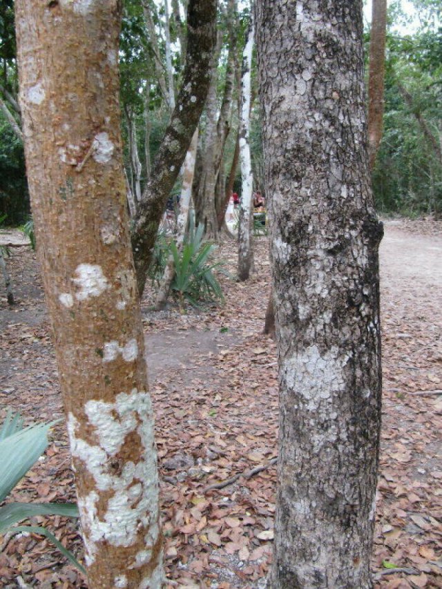 Unexplained Mysteries (22 pics)