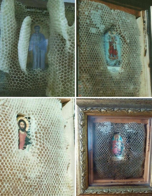 Unexplained Mysteries (22 pics)