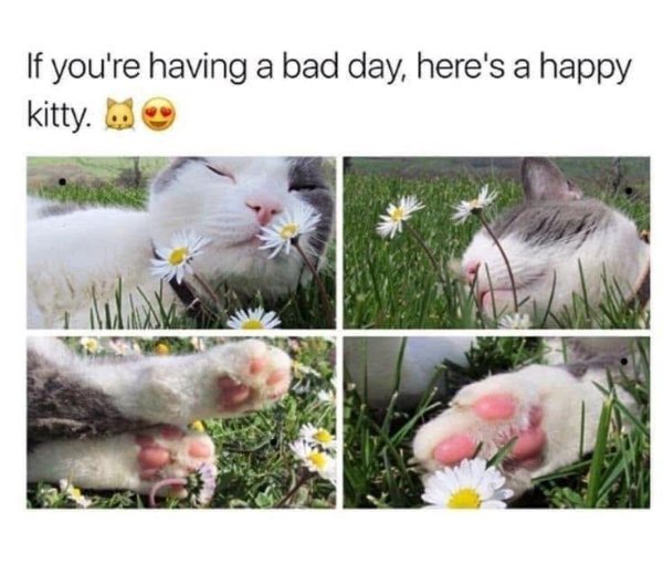 Positive Posts For A Good Mood (25 pics)