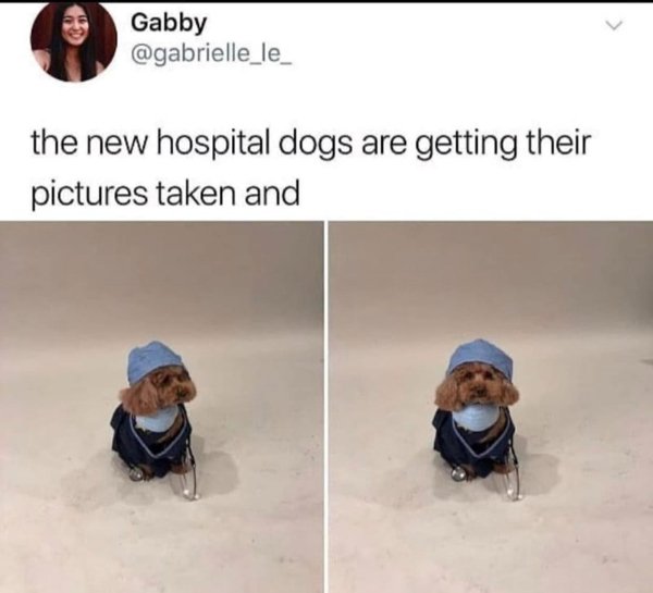 Positive Posts For A Good Mood (25 pics)