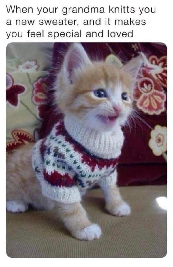 Positive Posts For A Good Mood (25 pics)