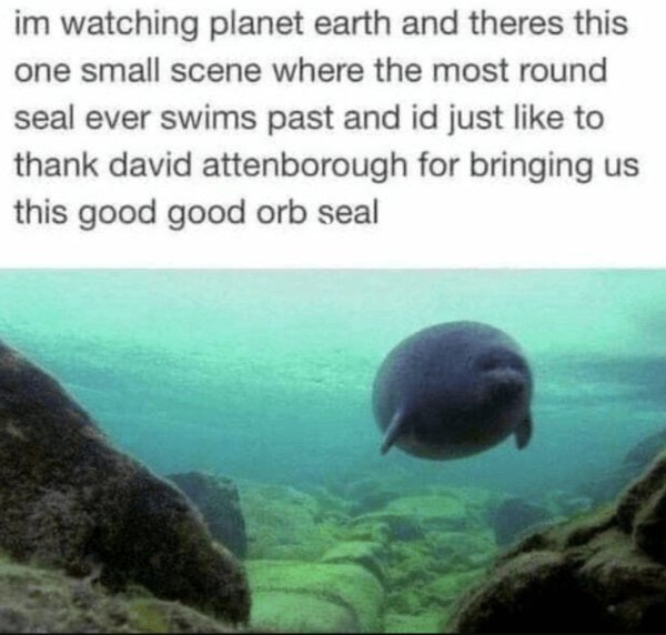 Positive Posts For A Good Mood (25 pics)