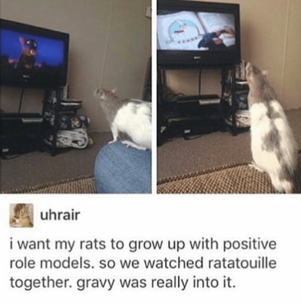 Positive Posts For A Good Mood (25 pics)