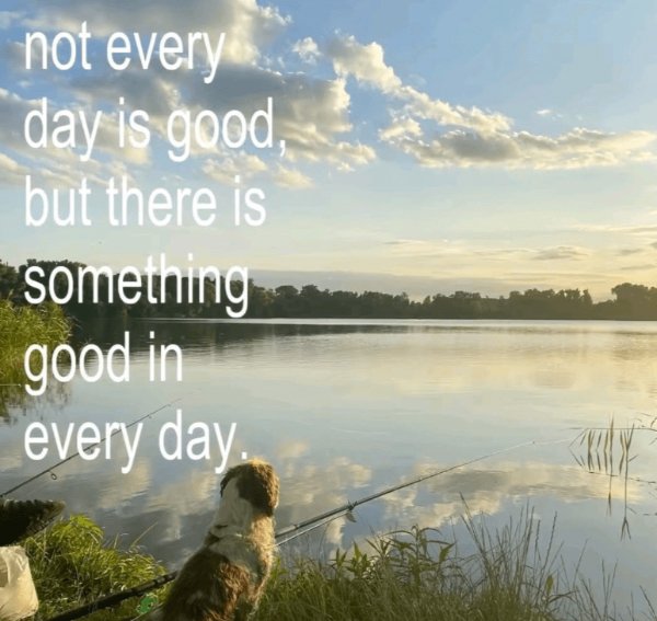 Positive Posts For A Good Mood (25 pics)