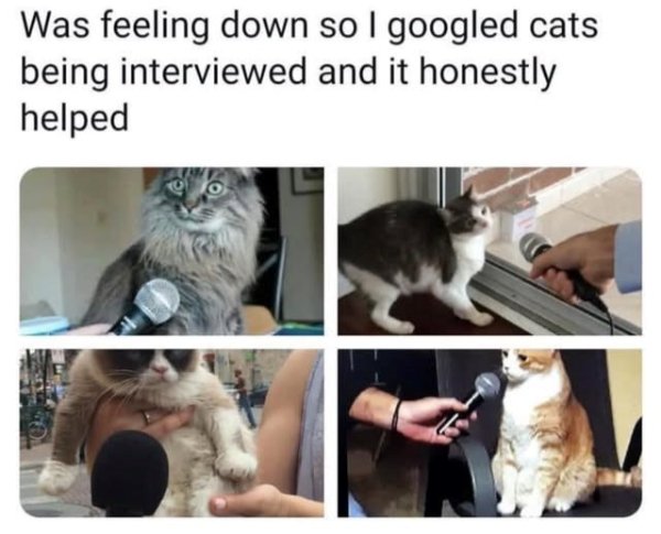 Positive Posts For A Good Mood (25 pics)