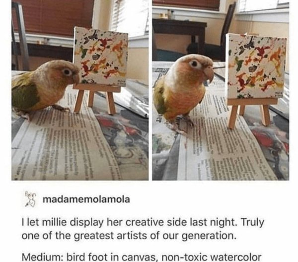 Positive Posts For A Good Mood (25 pics)