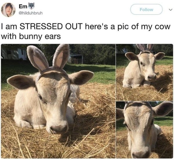 Positive Posts For A Good Mood (25 pics)