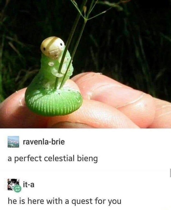 Positive Posts For A Good Mood (25 pics)