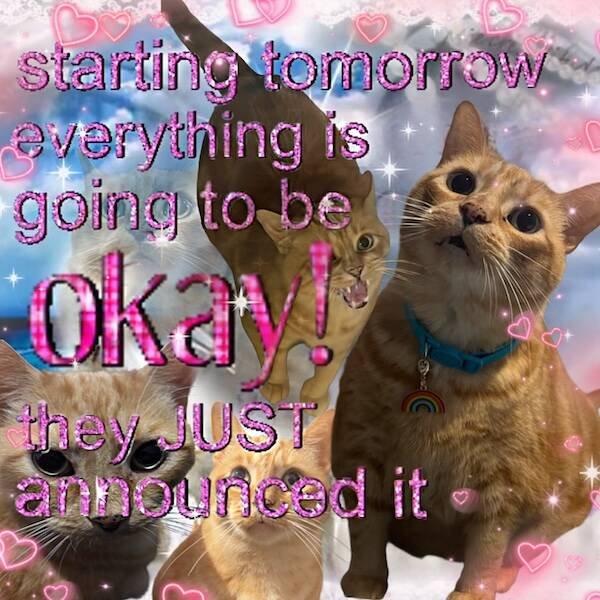 Positive Posts For Good Mood (17 pics)