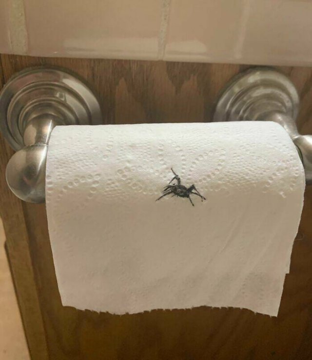 Bad Days Happen (21 pics)