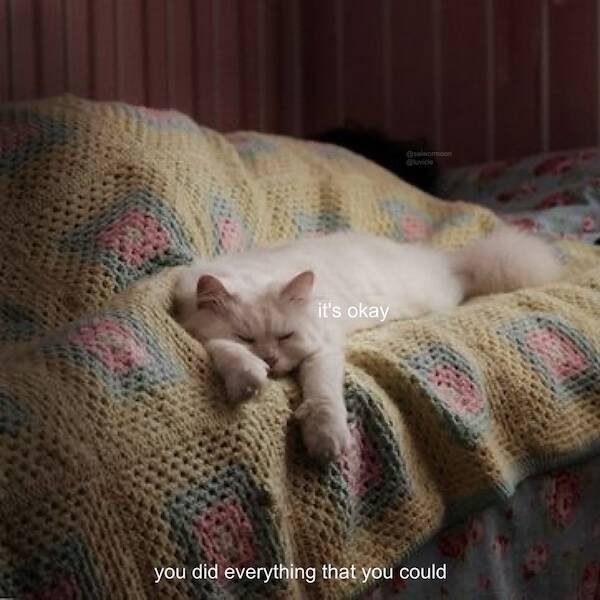 Positive Posts For Good Mood (17 pics)