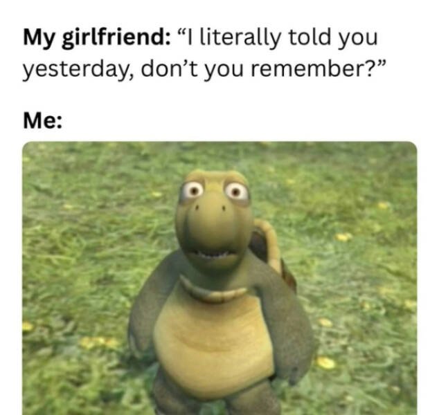 Memes About Relationships (15 pics)