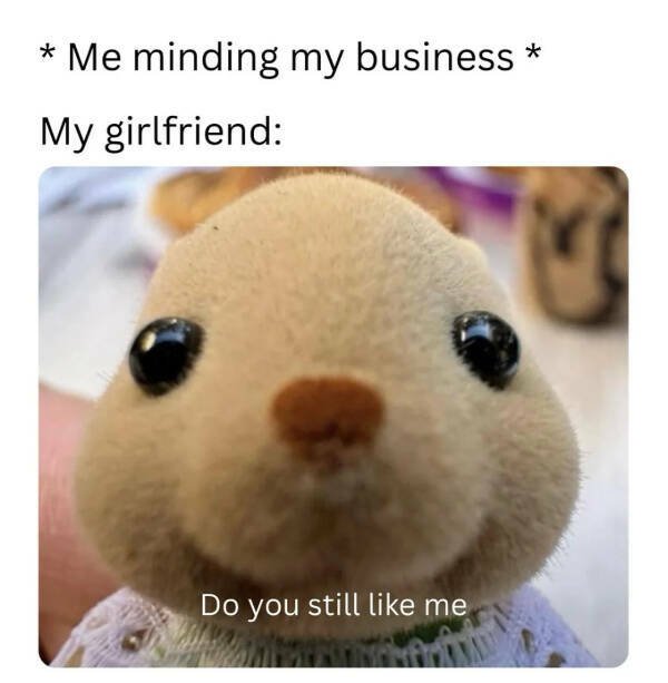 Memes About Relationships (15 pics)