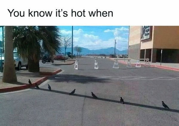 Summer Jokes (27 pics)