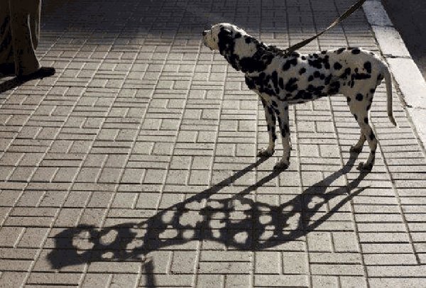 Strange Finds And Situations (24 pics)