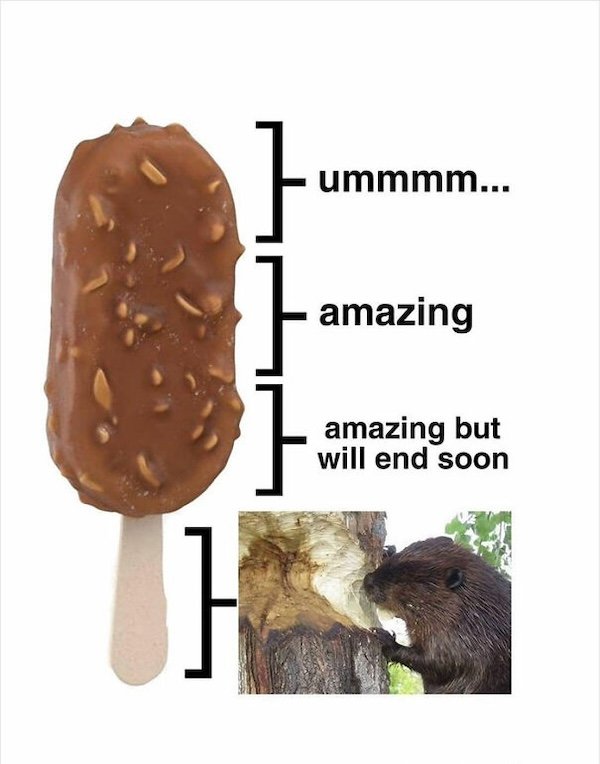 Summer Jokes (27 pics)