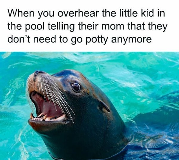 Summer Jokes (27 pics)