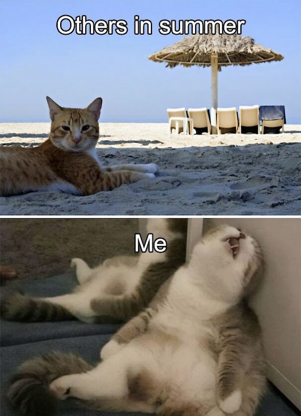 Summer Jokes (27 pics)