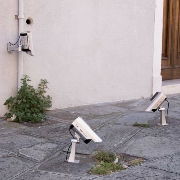 Strange Finds And Situations (24 pics)