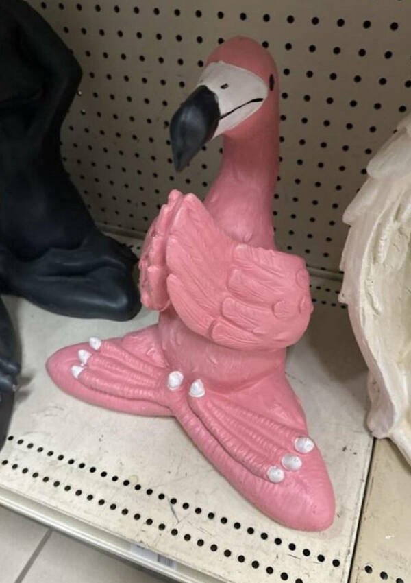 Creepy Finds (23 pics)