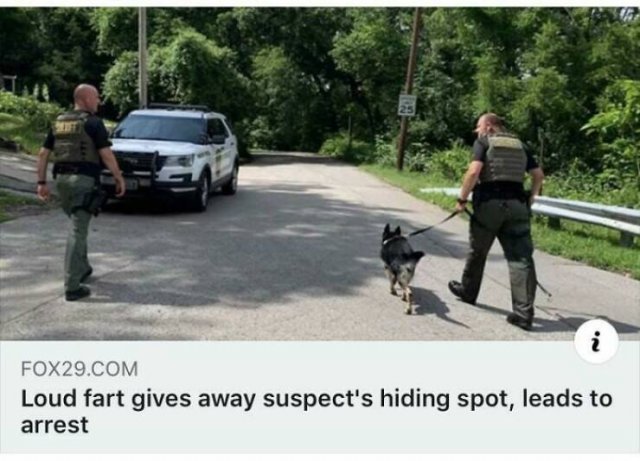 Funny Posts And Comments (18 pics)