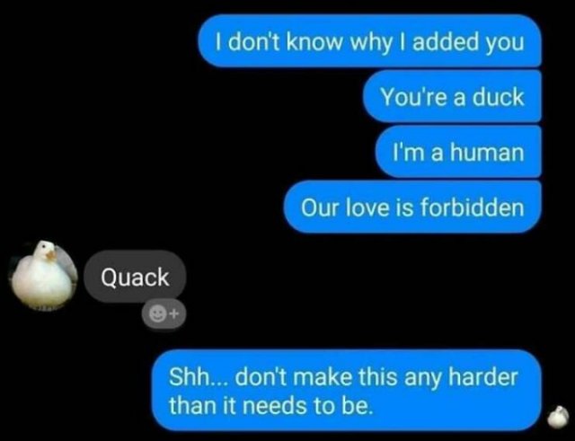 Funny Posts And Comments (18 pics)