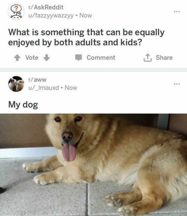 Funny Posts And Comments (18 pics)