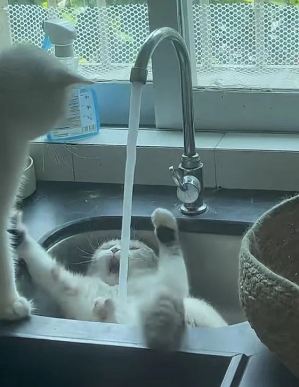 Weird Finds And Situations (35 pics)