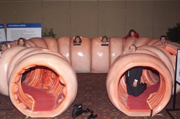 Weird Finds And Situations (35 pics)
