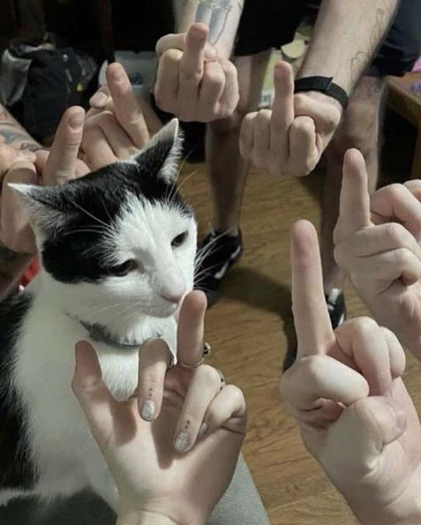 Weird Finds And Situations (35 pics)