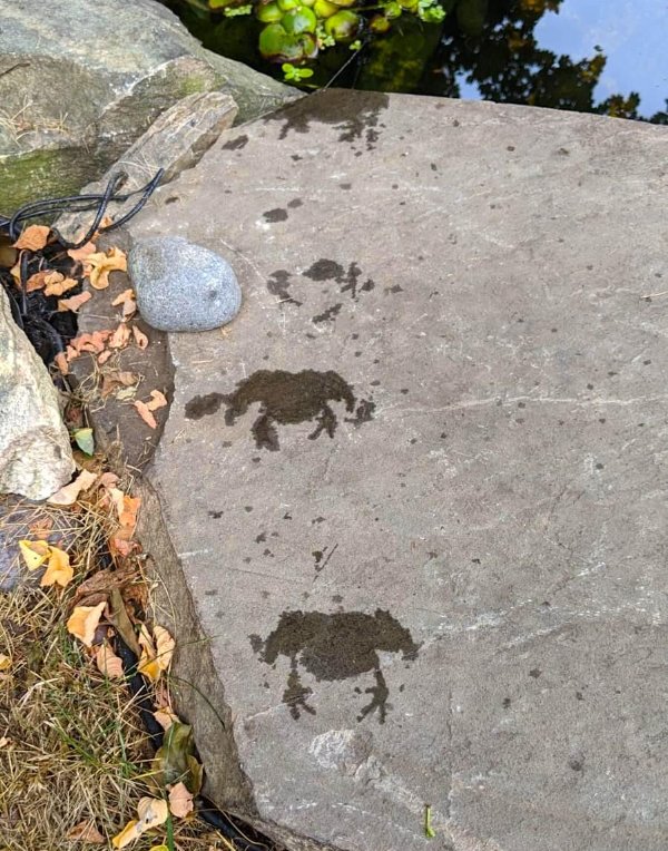 Weird Finds And Situations (35 pics)