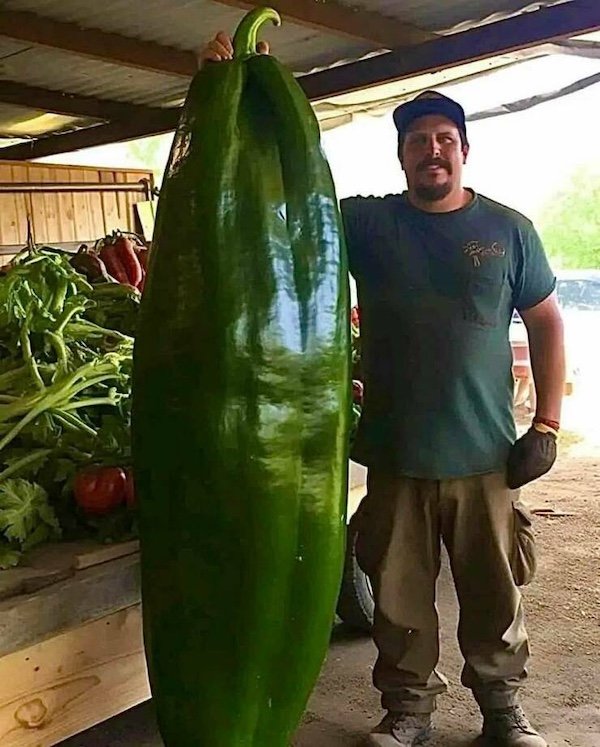 Giant Things (30 pics)