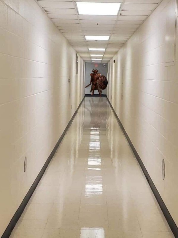 Weird Finds And Situations (35 pics)