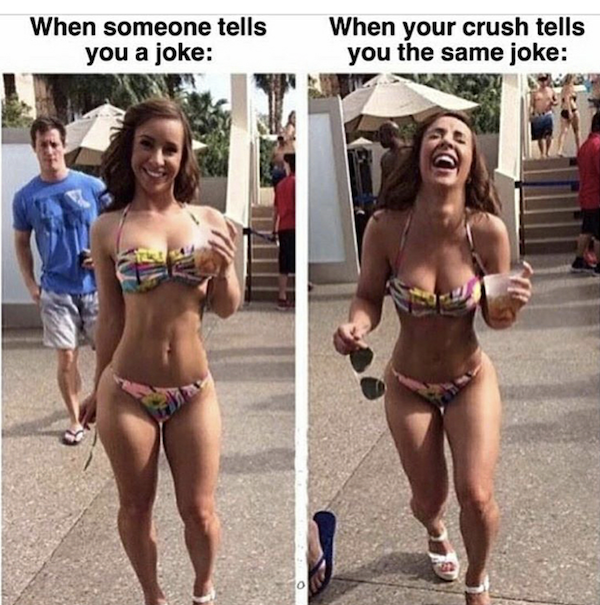 Random Memes (30 pics)