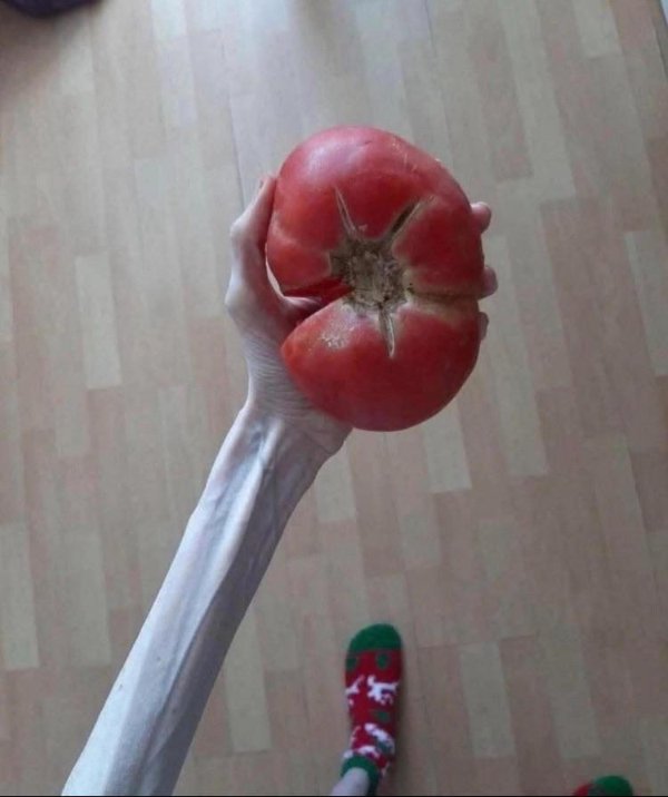 Weird Finds And Situations (35 pics)