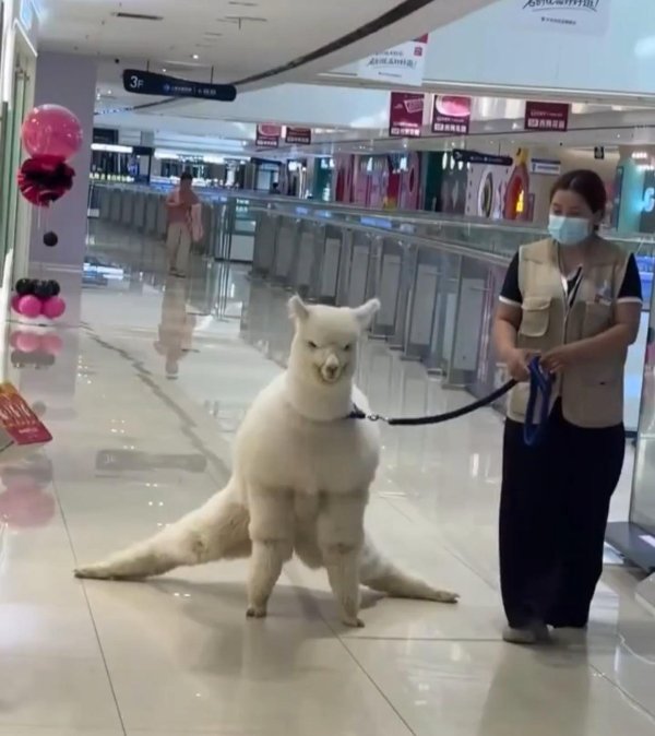 Weird Finds And Situations (35 pics)