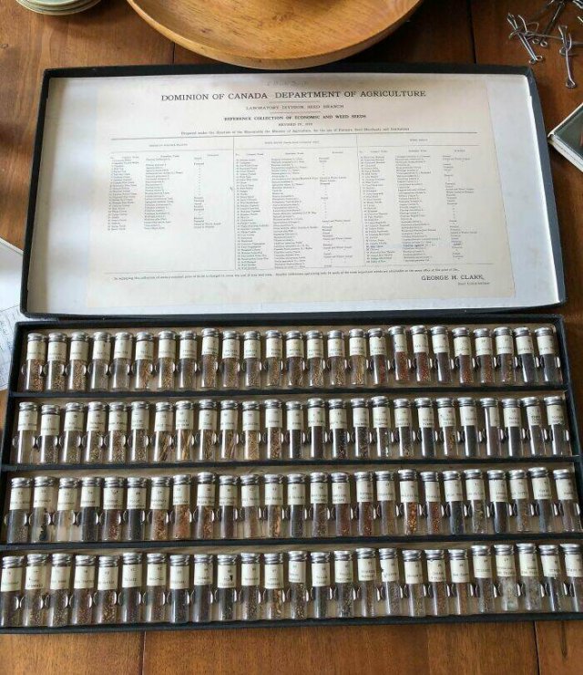 Intersting Finds In Old Houses (23 pics)