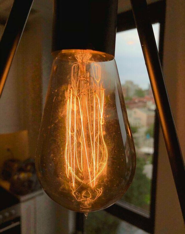 Intersting Finds In Old Houses (23 pics)