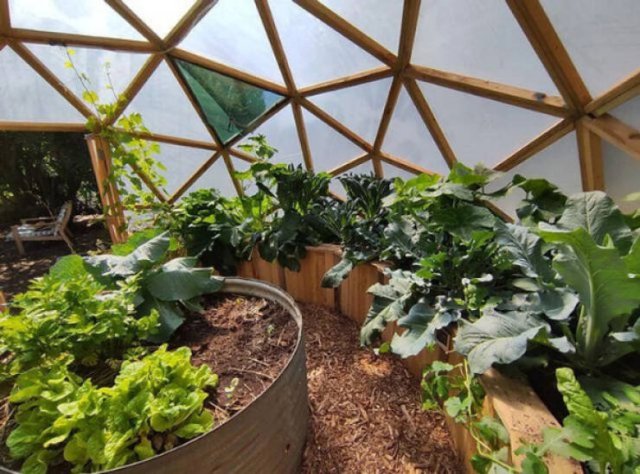 Cool Country Living Projects (21 pics)