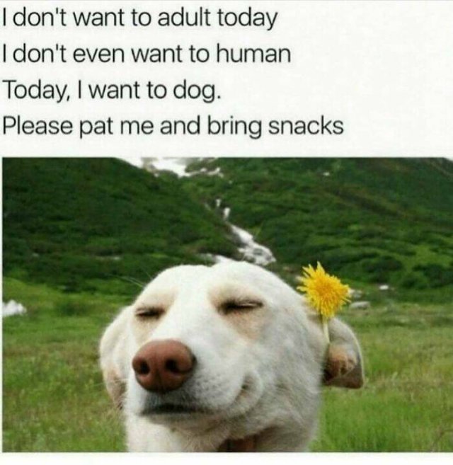 Funny Memes (23 pics)