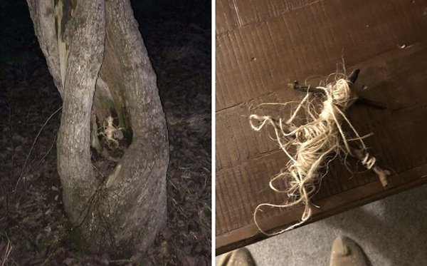 Scary Finds In The Forests (24 pics)