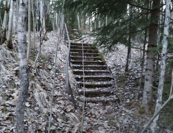 Scary Finds In The Forests (24 pics)