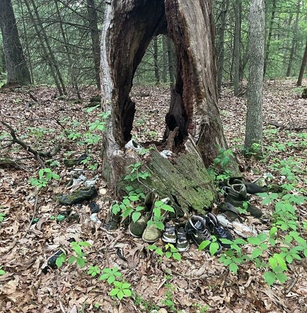 Scary Finds In The Forests (24 pics)