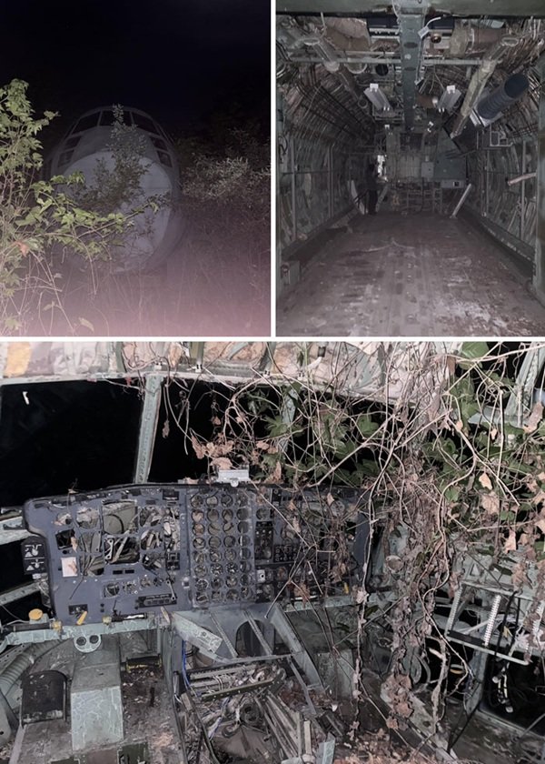 Scary Finds In The Forests (24 pics)